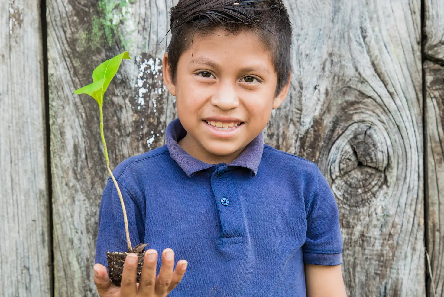 Our new partnership… with One Tree Planted!